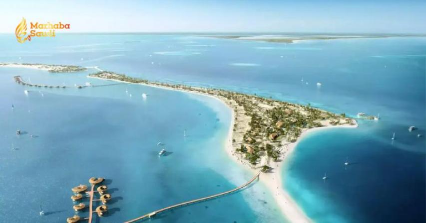 Friends Of The Red Sea Promotes Sustainable Tourism With Beach Cleanup