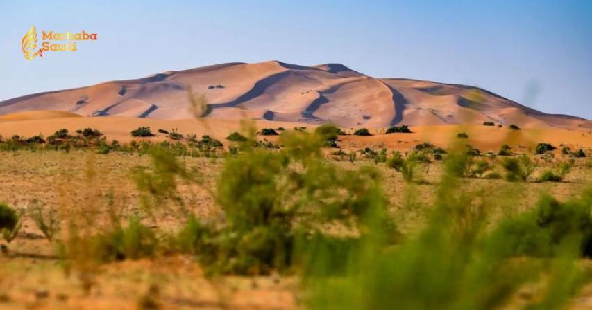 Imam Turki bin Abdullah Royal Reserve