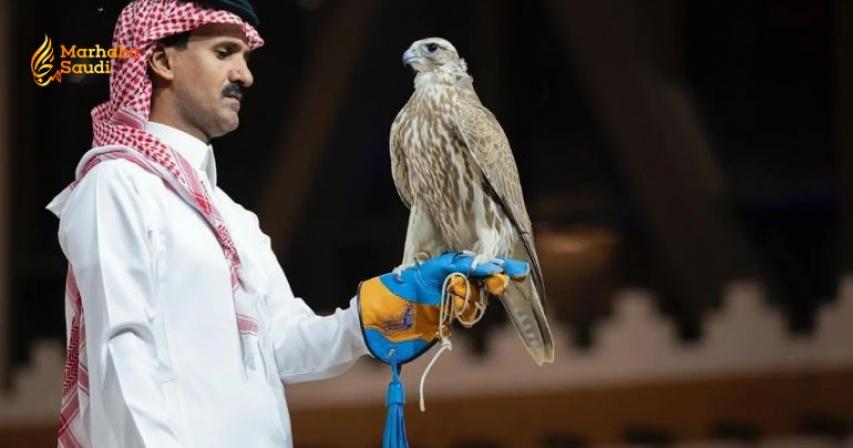 Two Mongolian Falcons Fetch SAR 350,000 In Competitive Riyadh Auction
