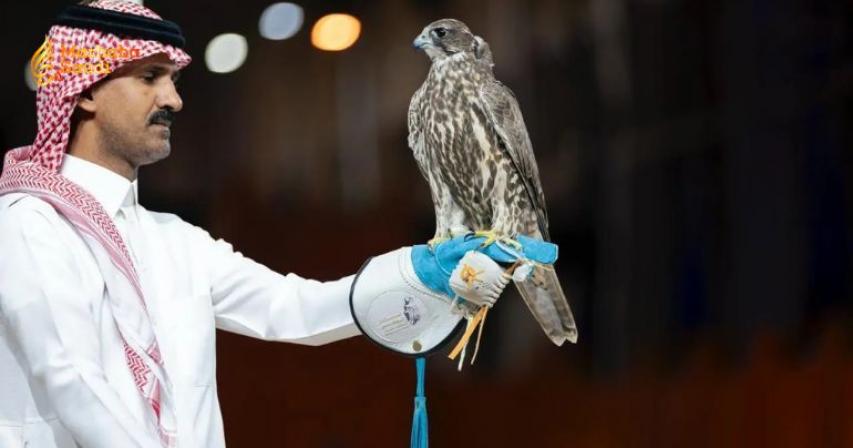 Elite Mongolian Falcons Secure Massive Bids During Spectacular Riyadh Auction