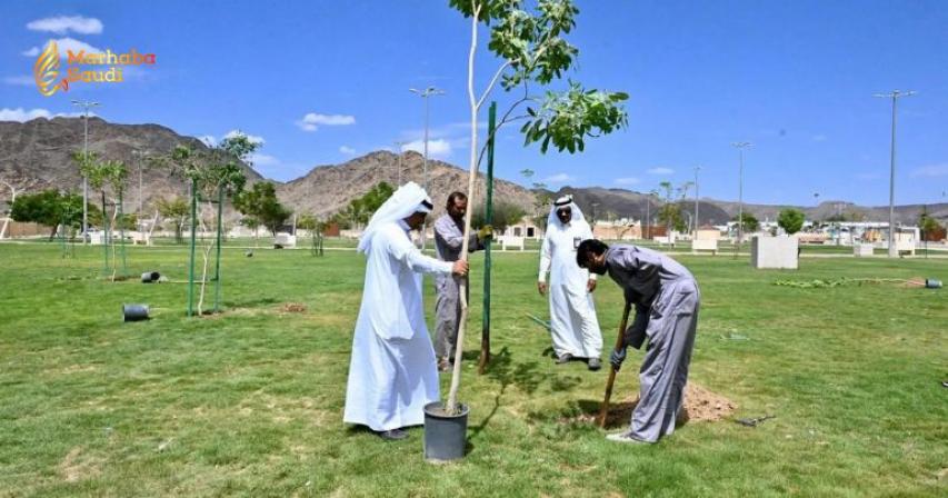 Najran Plants Over 7,000 Trees Under Greening Project