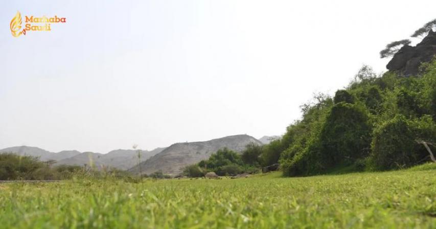 Jazan tourism