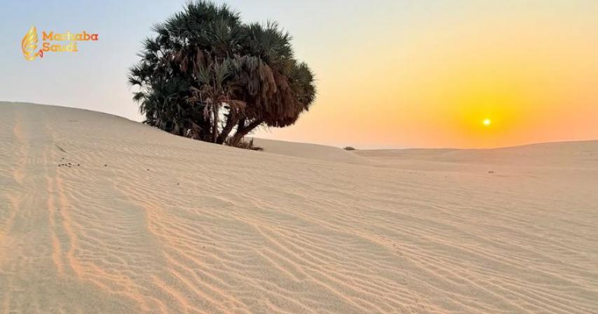 Al-Khadra village sandy plains