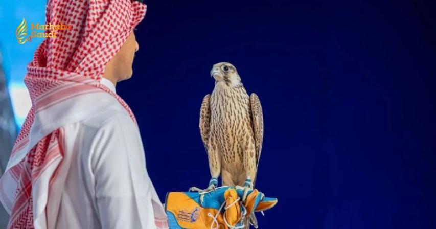 National Falcon Auction Unleashes Massive Sales Exceeding One Million Riyals