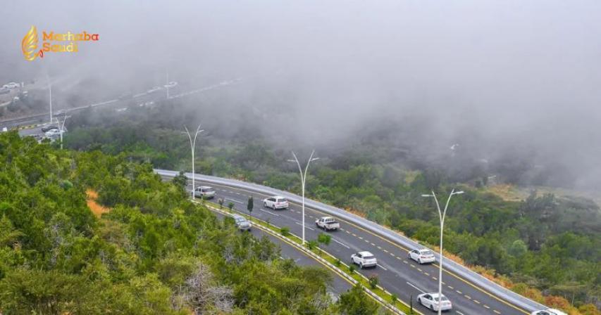 Al-Baha Green Initiative