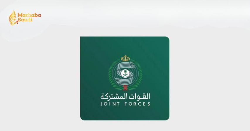 Saudi air defense forces