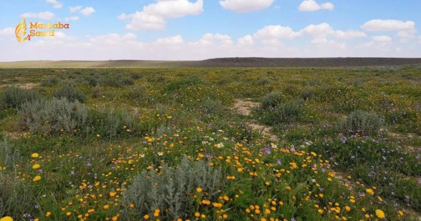 King Salman bin Abdulaziz Royal Reserve
