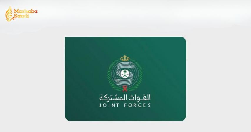Saudi air defense forces