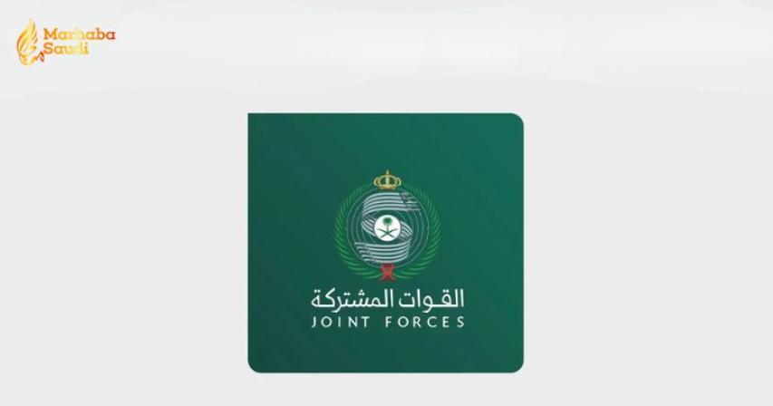 Saudi air defense forces