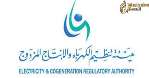 Shoura to discuss rising electricity bills; may seek ECRA intervention