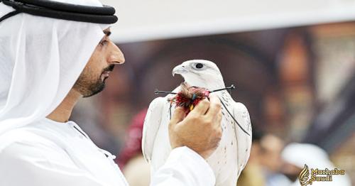 Abu Dhabi International Hunting and Equestrian Exhibition Gets Ready to Launch with the Appearance of the Canopus Star