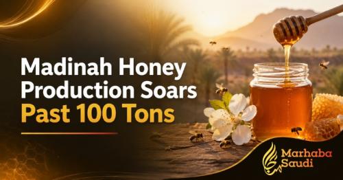 Madinah Honey Production Soars Past 100 Tons