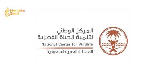 Saudi Arabia Closes Massive Unlicensed Wildlife Registration Phase