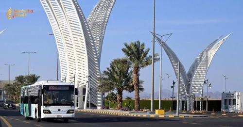Madinah Aggressively Expands Massive Public Transport Network to Handle Exploding Summer Visitor Traffic Safely