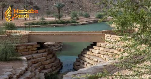 Green Riyadh Ignites Massive Desert Transformation To Completely Crush Blistering Summer Heat