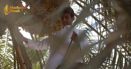 Saudi Arabia Ignites Massive Agricultural Training Program To Dominate Date Markets