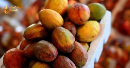Al-Qatif Ignites Massive Agricultural Boom With Spectacular Almond Harvest