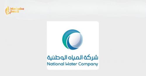 National Water Company Unleashes Massive Campaign To Crush Household Leaks