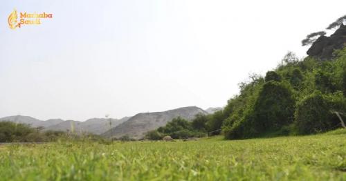 Massive October Rains Unleash a Spectacular Tourism Boom Across Jazan