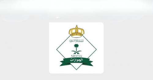 General Directorate of Passports Executes Massive Security Crackdown on Violators