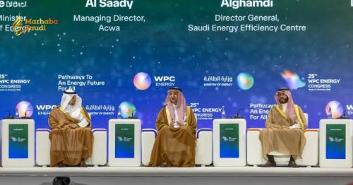 Saudi Arabia Targets Massive Renewable Energy Future at WPC Congress