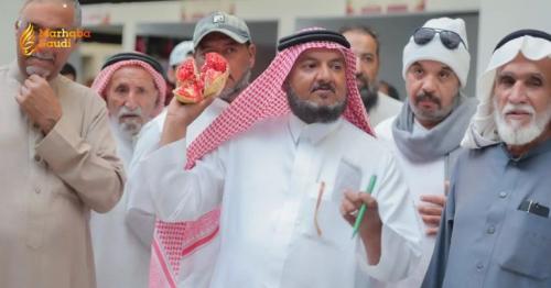 Al-Baha Unleashes Spectacular Pomegranate Festival to Dominate Regional Tourism