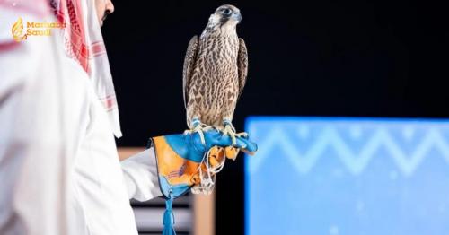 Two Prized Falcons Fetch SAR374,000 At National Center For Falcons Auction