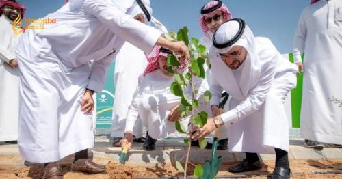 Qassim University Unleashes Massive Greening Initiative to Transform the Environment