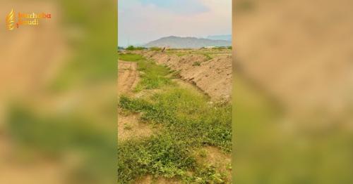Massive Rainfall Unleashes Spectacular Green Oasis Across Makkah Park