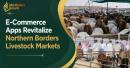 E-Commerce Apps Revitalize Northern Borders Livestock Markets