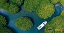 Al-Qandal Forest Attracts Eid Tourists with Scenic Boat Tours