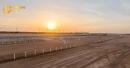 Saudi Camel Sports Unleashes Massive Taif Square Upgrade Ahead Of Crown Prince Festival