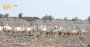 Oman Executes Monumental Environmental Protection Strategy Spanning Dozens Of Nature Reserves