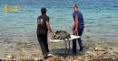 Saudi Experts Execute Phenomenal Sea Turtle Rescue And Oceanic Rehabilitation